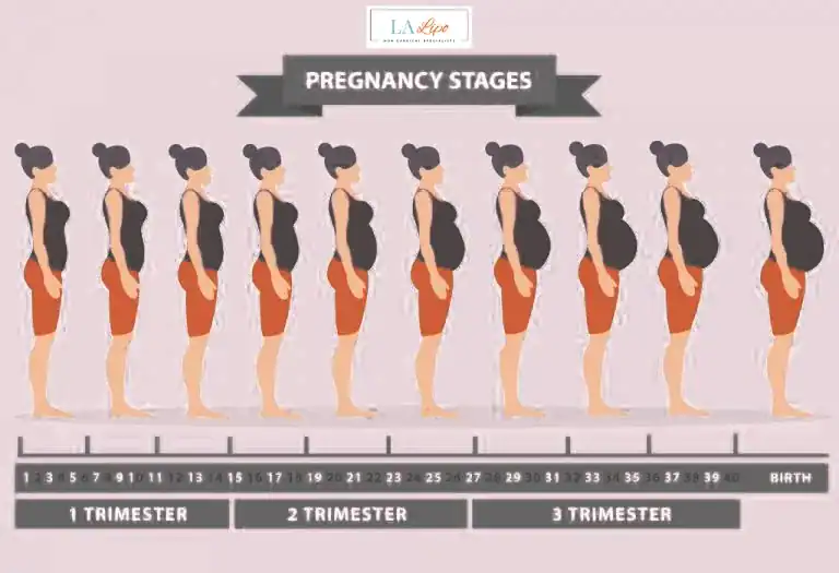 First Trimester (Weeks 1–12): Early Changes You Might Not Notice Milton Keynes
